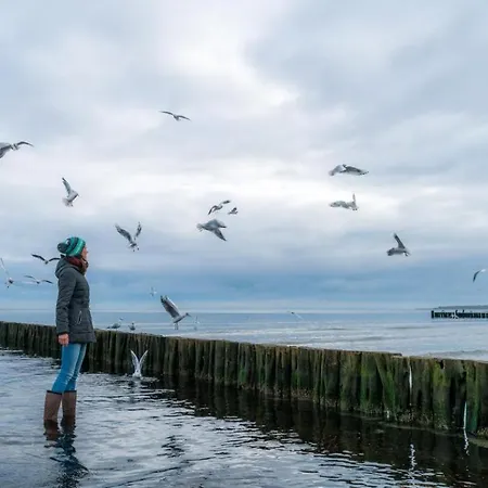 Urlauberdorf 43c Apartment *